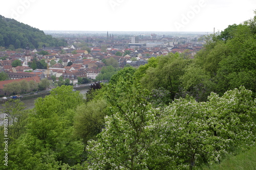 Heidelberg  ハイデルベルクの風景