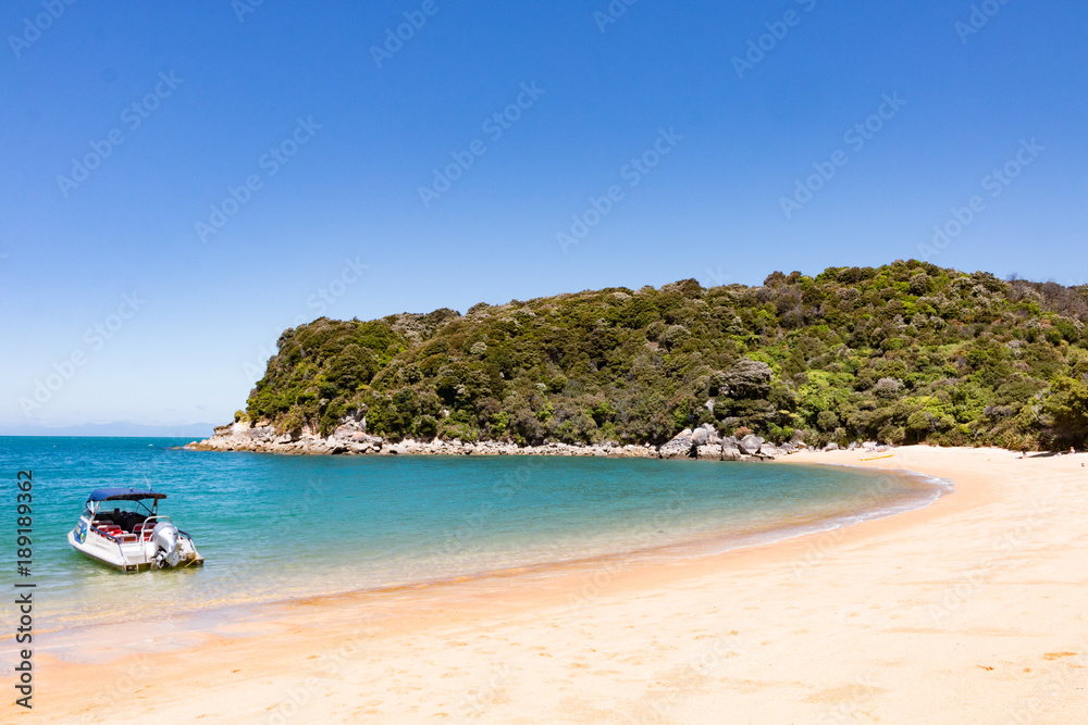 New Zealand Abel Tasman National park bay landscape with clear water on the beach