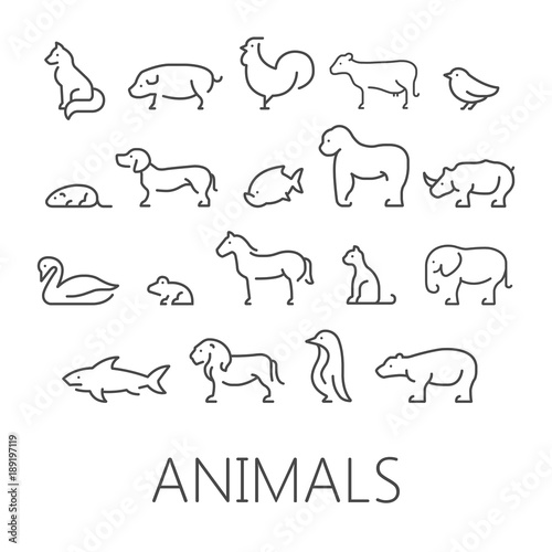 animal icons