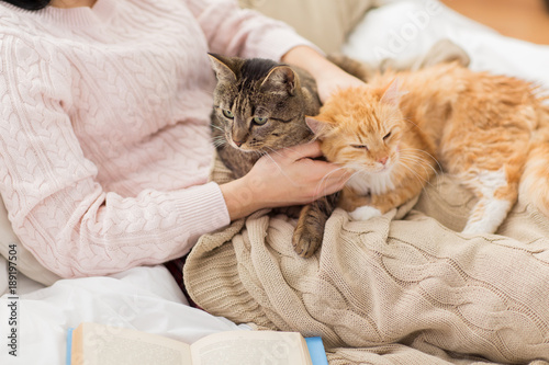 close up of owner with red and tabby cat in bed