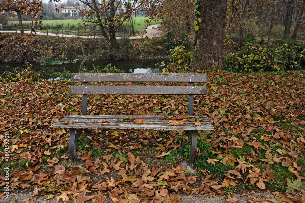 An empty park bench by the lake in winter.