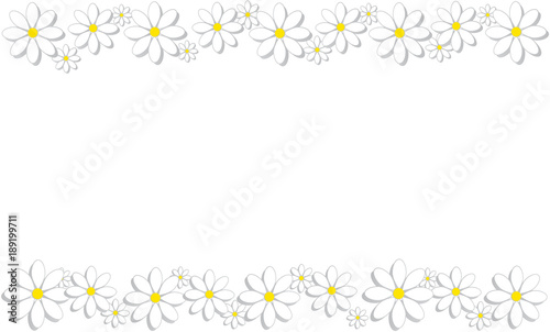 
Spring white nature background with white chamomiles. Floral background 