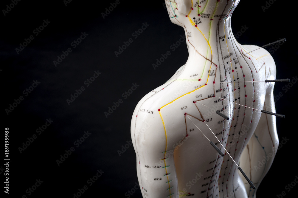 Alternative medicine and east asian healing methods concept with acupuncture dummy model with copy space. Acupuncture is the practice of inserting needles in the subcutaneous tissue, skin and muscles