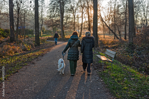 Some people and a dog stroll in the afternoon light on a winter day.