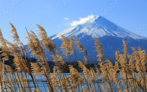 landsscape of mount fuji photo