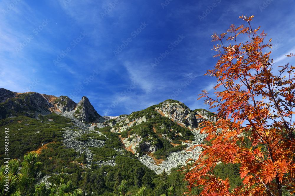Alpine autumnal landscape in National Park Retezat, Romania, Europe