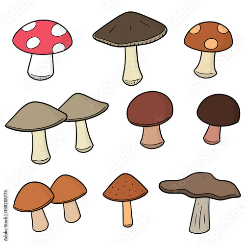 vector set of mushrooms