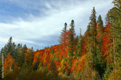Autumn landscape in the Romanian Carpathians, Europe © Rechitan Sorin