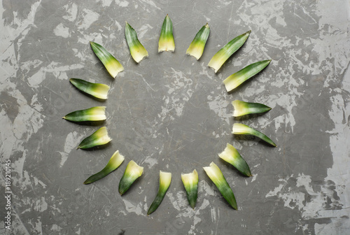Rround frame made of pineapple leaves on concrete background. Fresh green leaves collection. photo