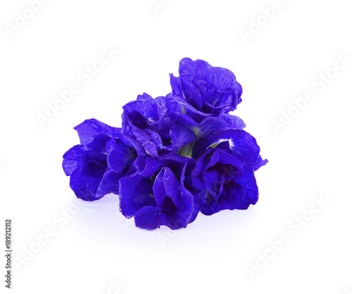 Butterfly Pea flowers isolated on white background