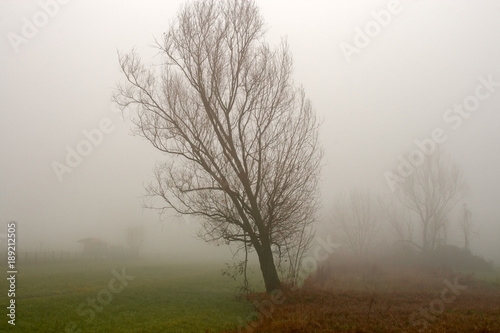Meadows and fields on a foggy autumn day