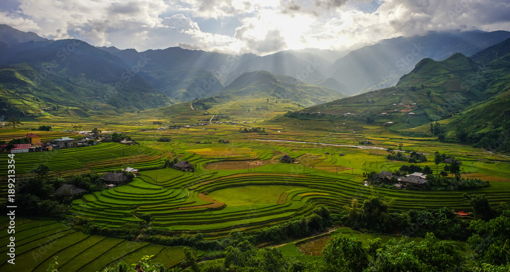 Terraced rice field in Northern Vietnam