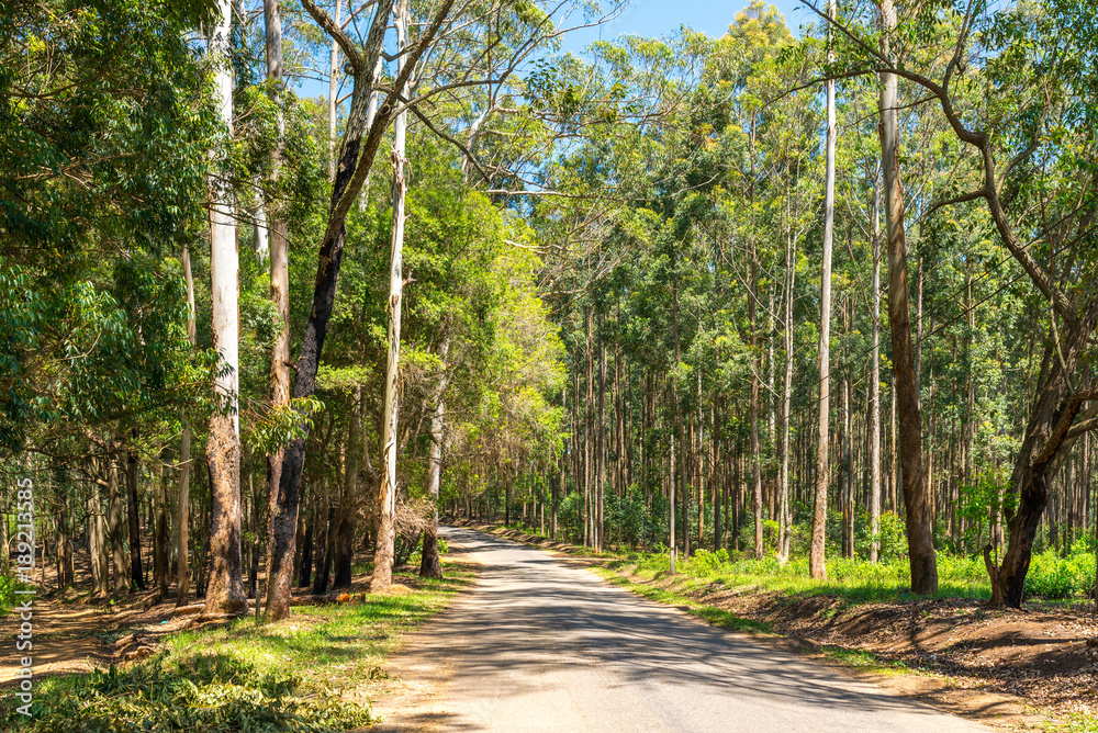 The Sri Lanka dry evergreen forests are a tropical dry broadleaf forest ecoregion of the island of Sri Lanka. Situated mostly in the Central Province The Sri Lanka dry evergreen forests are a tropical dry broadleaf forest ecoregion of the island of Sri Lanka. Situated mostly in the Central Province