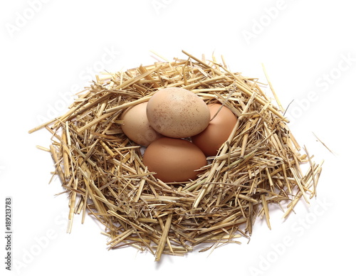 organic eggs in nest isolated on white background, clipping path