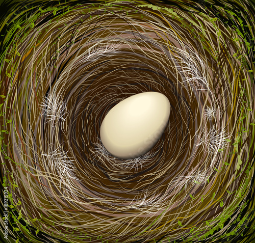 realistic bird s nest with one big egg, Easter in nature,