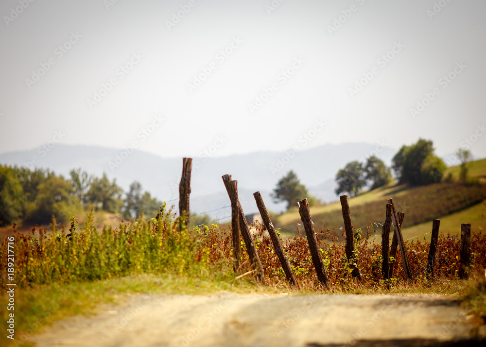 Countryside Landscape with old fence and vineyard