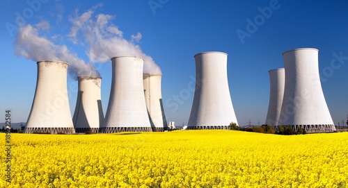 Nuclear power plant and  field of rapeseed