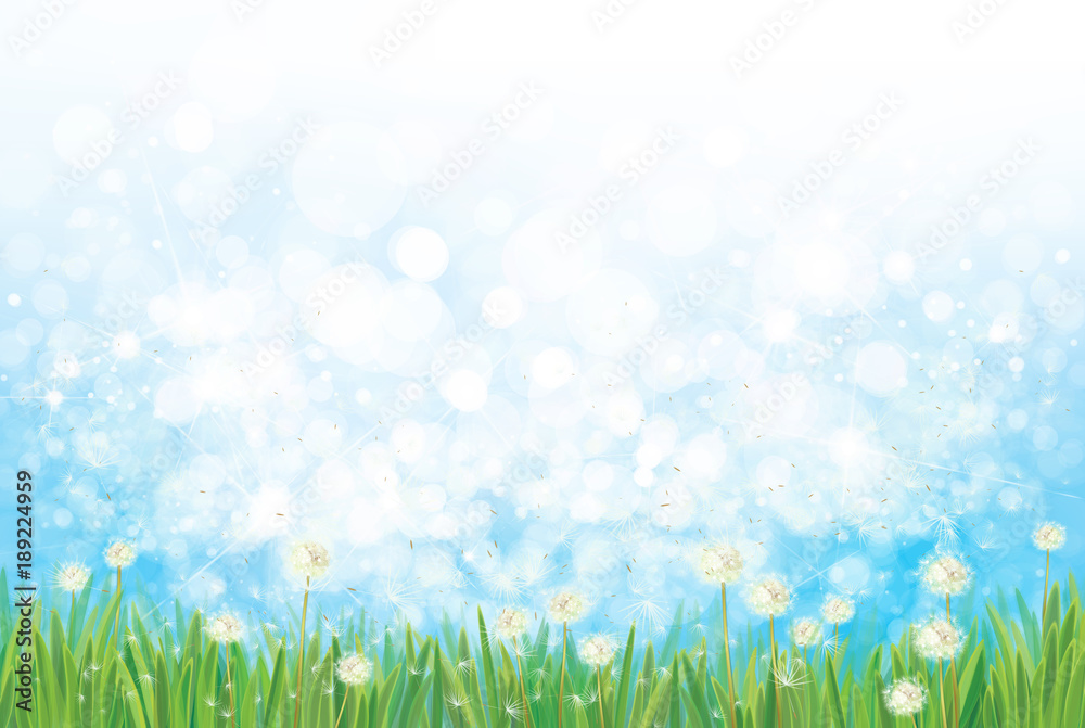 Vector spring nature background, dandelions field on blue sky bokeh background. Vector spring nature background, dandelions field on blue sky bokeh background.