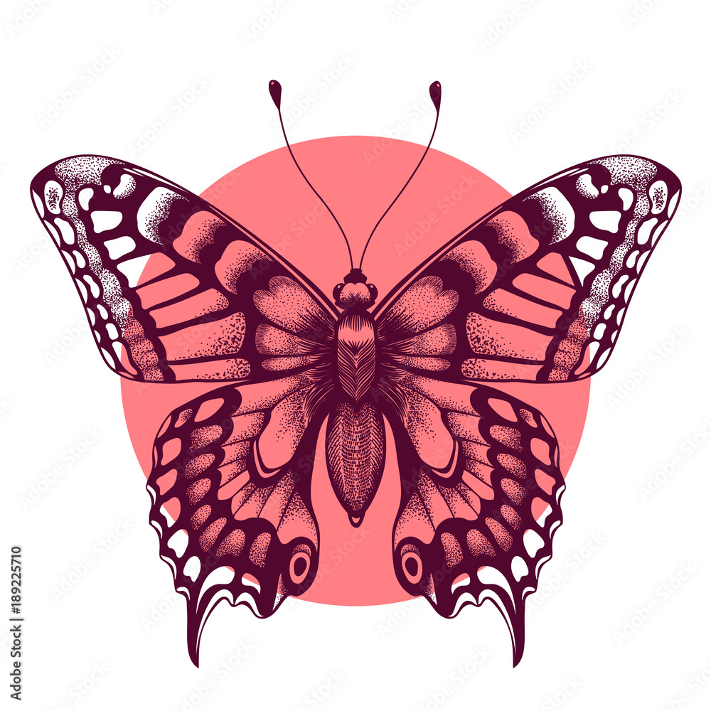 Butterfly in pink circle. Beautiful tattoo butterfly. Symbol of immortal  soul. Element Air Stock Vector | Adobe Stock