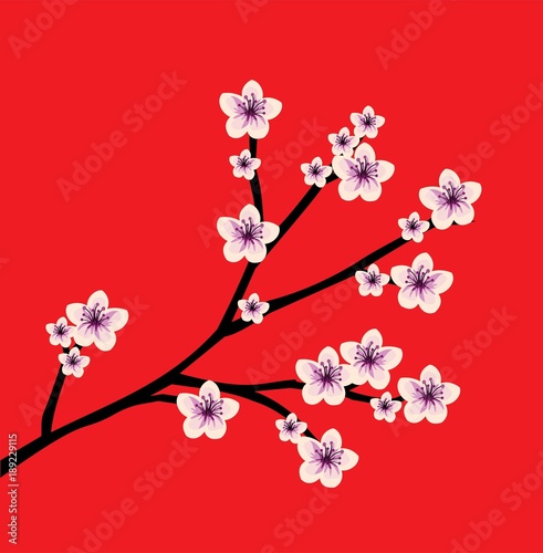 Cherry blossom on a red background VECTOR