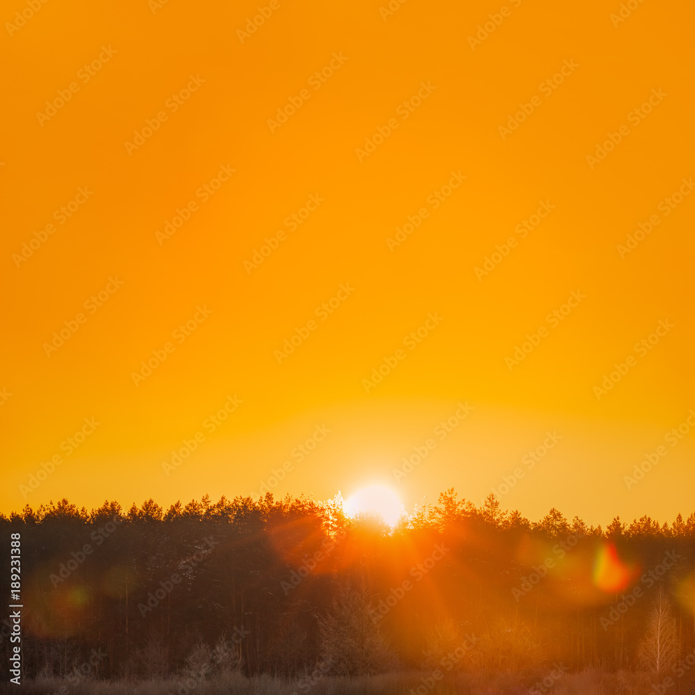 Sun Over Horizon Woods Or Forest With Orange Sunset Sky. Natural