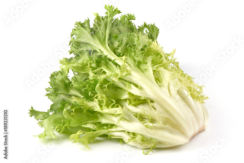 Fresh Frisee lettuce. Crispy endive. Close-up, isolated on white background. photo