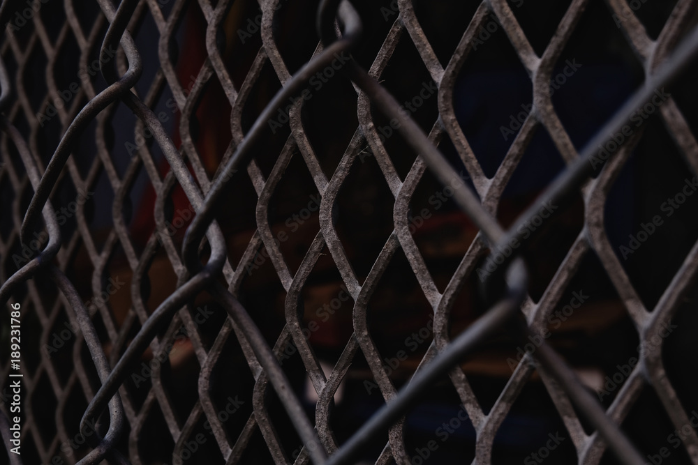 Fototapeta premium focus