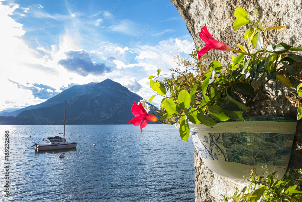 Fiori e paesaggio al Lago di Como