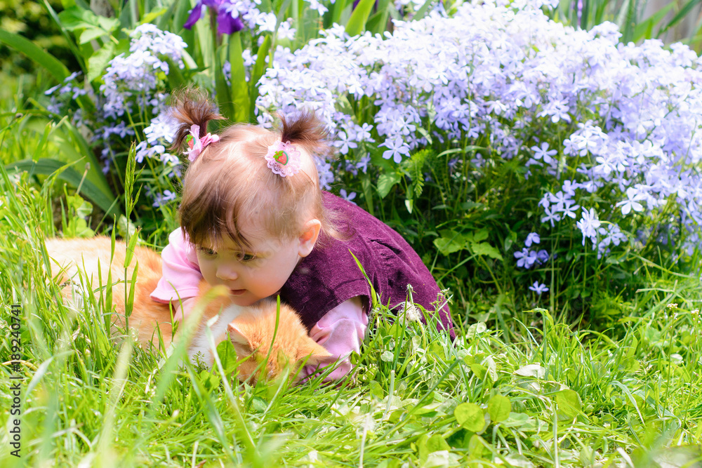 A beautiful Ukrainian little girl playing on a lawn with an ore cat A beautiful Ukrainian little girl playing on a lawn with an ore cat
