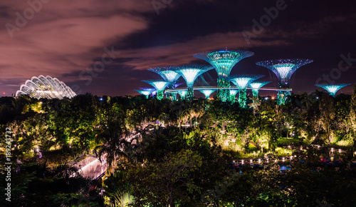 Night view of Supertrees at Gardens by the Bay and cityscape in Singapore. Amazing world like in an Avatar movie. photo