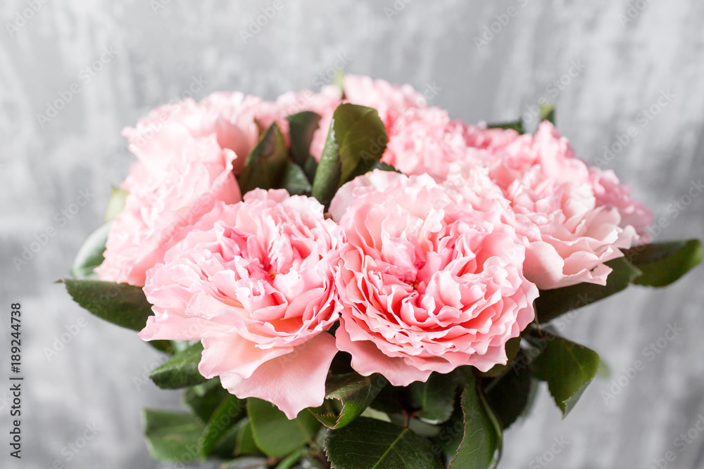 Beautiful pink Roses close up. Fresh flowers cut-off in the garden Beautiful pink Roses close up. Fresh flowers cut-off in the garden
