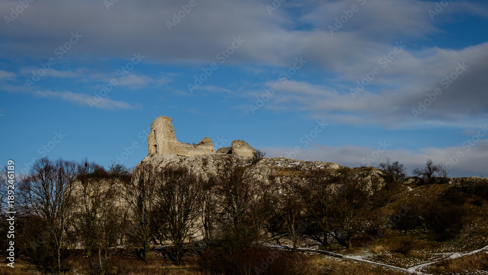 Castle ruin on the hill