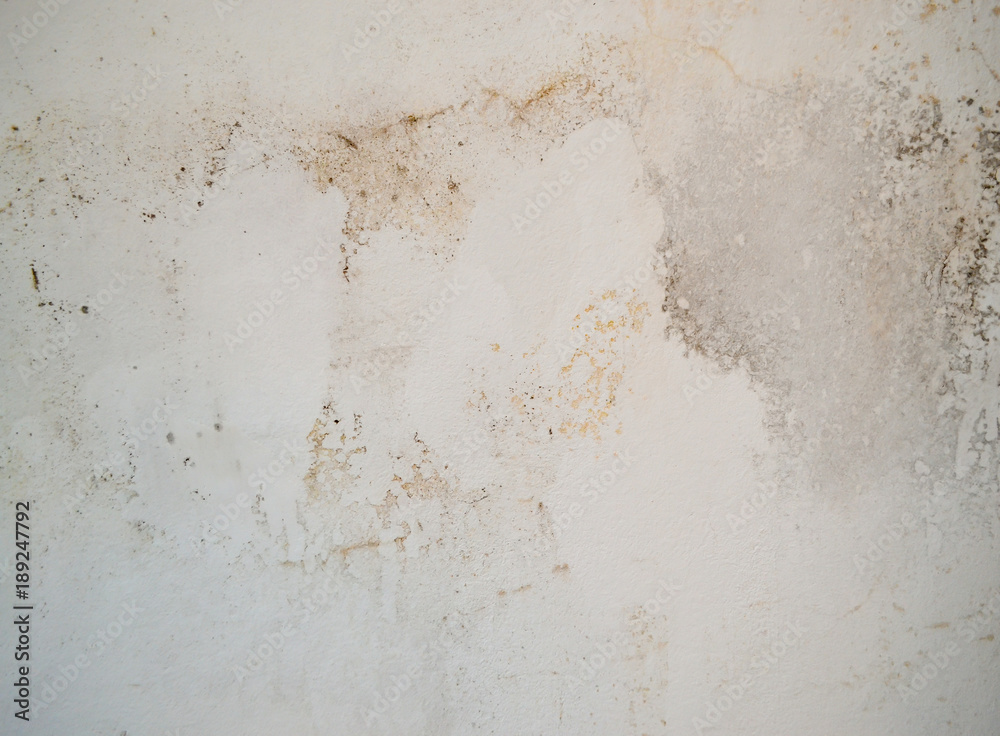 Cracked white wall with traces of moisture, mold and fungus Cracked white wall with traces of moisture, mold and fungus