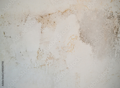 Cracked white wall with traces of moisture, mold and fungus