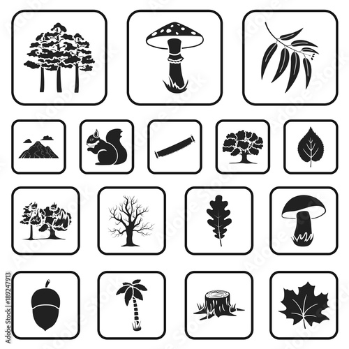 Forest and nature black icons in set collection for design. Forest life vector symbol stock web illustration.