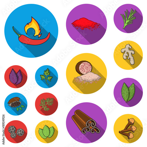 Herb and spices flat icons in set collection for design.Different kinds of seasonings vector symbol stock web illustration.