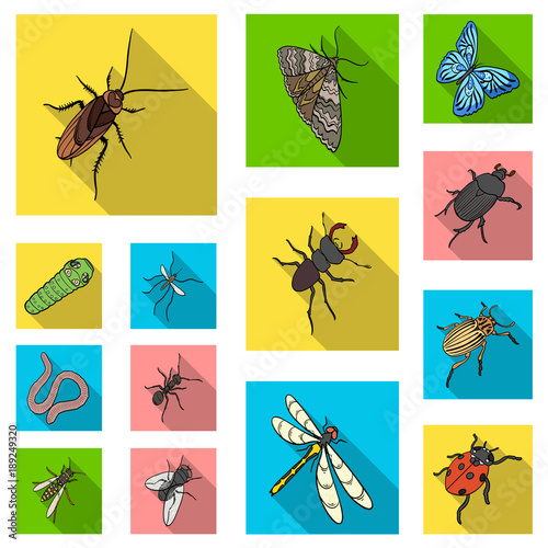 Different kinds of insects flat icons in set collection for design. Insect arthropod vector isometric symbol stock web illustration.