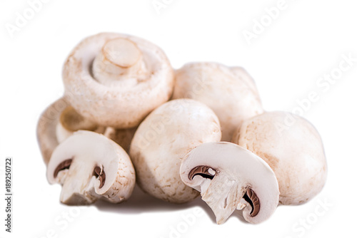 white mushrooms on white background