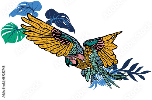 Colorful flying Parrot with tropical leaves on white background photo