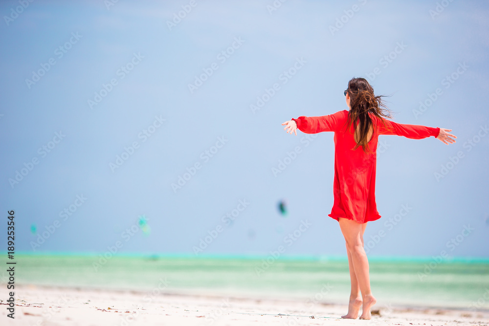 Young beautiful woman on tropical seashore. Back view of young girl in beautiful dress background the sea Young beautiful woman on tropical seashore. Back view of young girl in beautiful dress background the sea