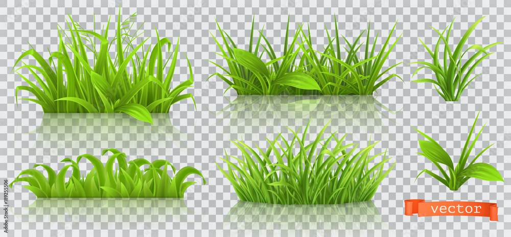 Spring, green grass. 3d realistic vector icon set - obrazy, fototapety, plakaty 