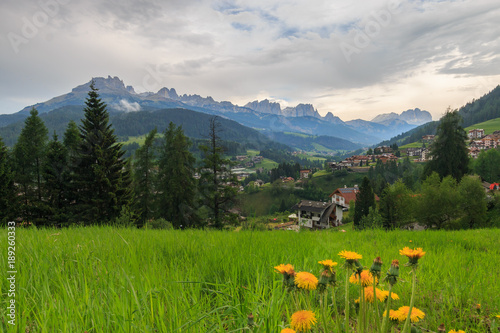 Scenic view over the Italian village of Moena in the Fassa Valley with yellow dandelions in the foreground