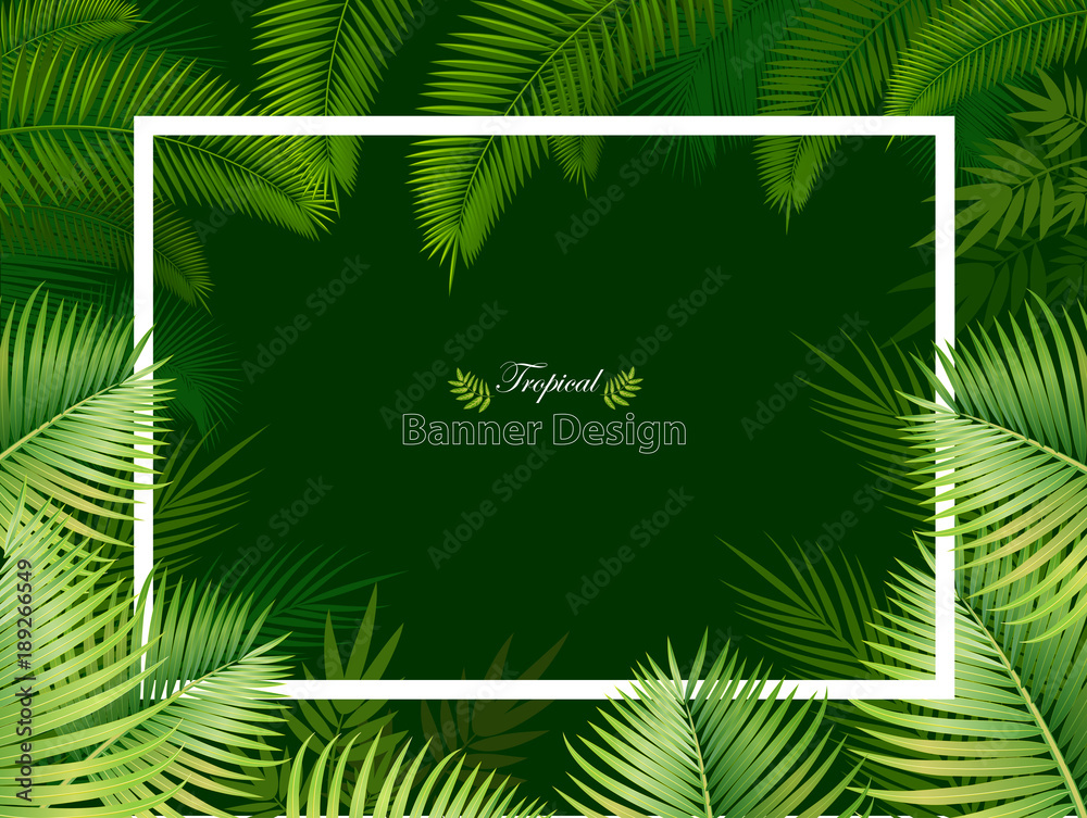 custom made wallpaper toronto digitalFrame from palm leaves on green background