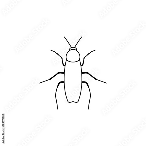 cockroach icon. Insect world elements icon. Premium quality graphic design icon. Simple line icon for websites, web design, mobile app, info graphics © gunayaliyeva