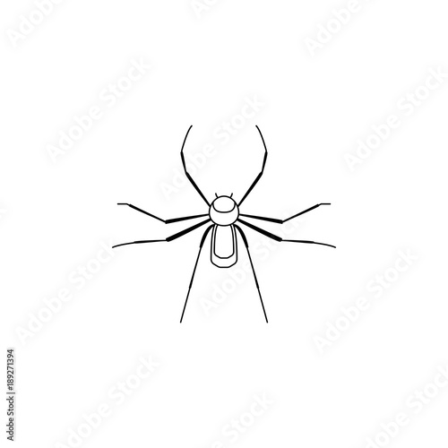 spider icon. Insect world elements icon. Premium quality graphic design icon. Simple line icon for websites, web design, mobile app, info graphics