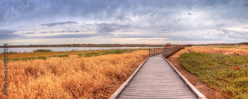 Boardwalk along the wetland and marsh at the Myakka River State Park photo