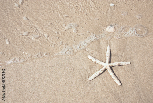 starfish and clear water on the sandy beach