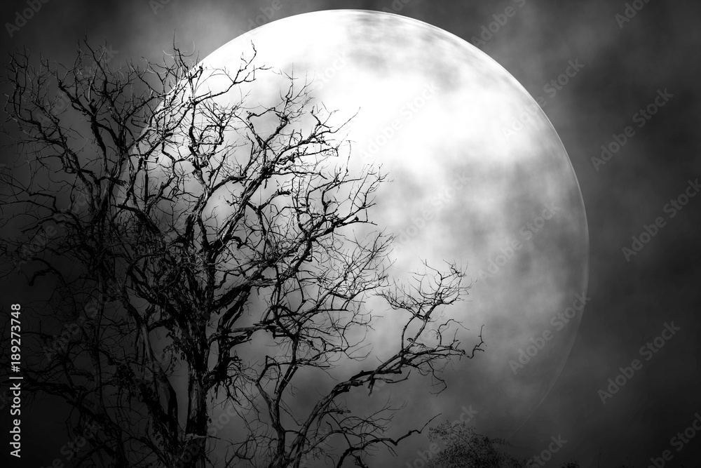 Naklejka premium Księżyc w nocy przerażający z natury.