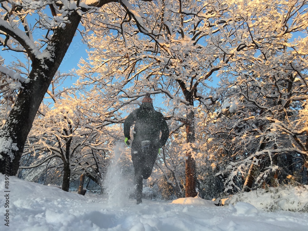 Man running on snow covered path - obrazy, fototapety, plakaty 