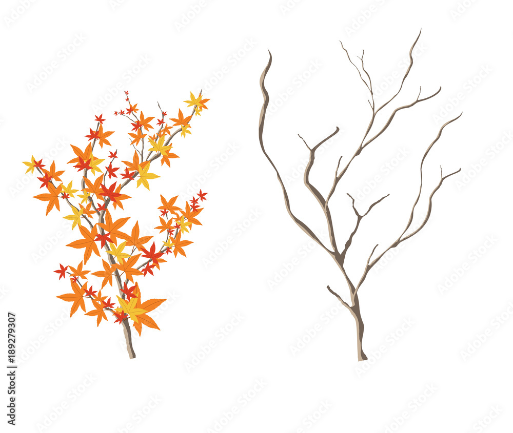 Leaf illustration object. vector eps10. Leaf illustration object. vector eps10.